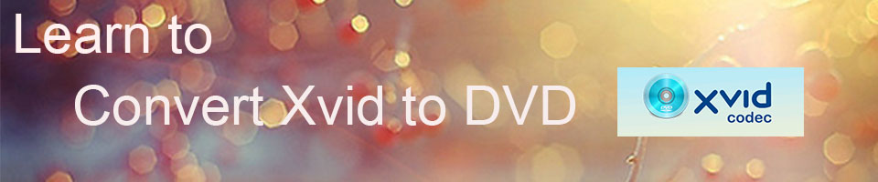 Learn to Convert Xvid to DVD Disc
